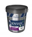Guittet Odyssée+ velours  peinture impression murs et plafonds
